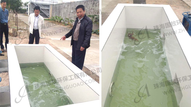 印染廢水處理后養(yǎng)魚？紡織污水處理廠(附圖)
