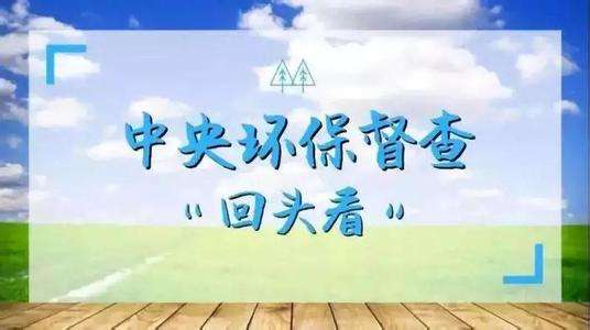 廣東省貫徹落實(shí)中央環(huán)境保護(hù)督察“回頭看”及專項督察反饋意見整改方案